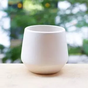 Chậu Gốm Sứ Kim Cương Cao S2