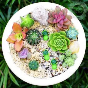 Tiểu cảnh gốm sứ 35
